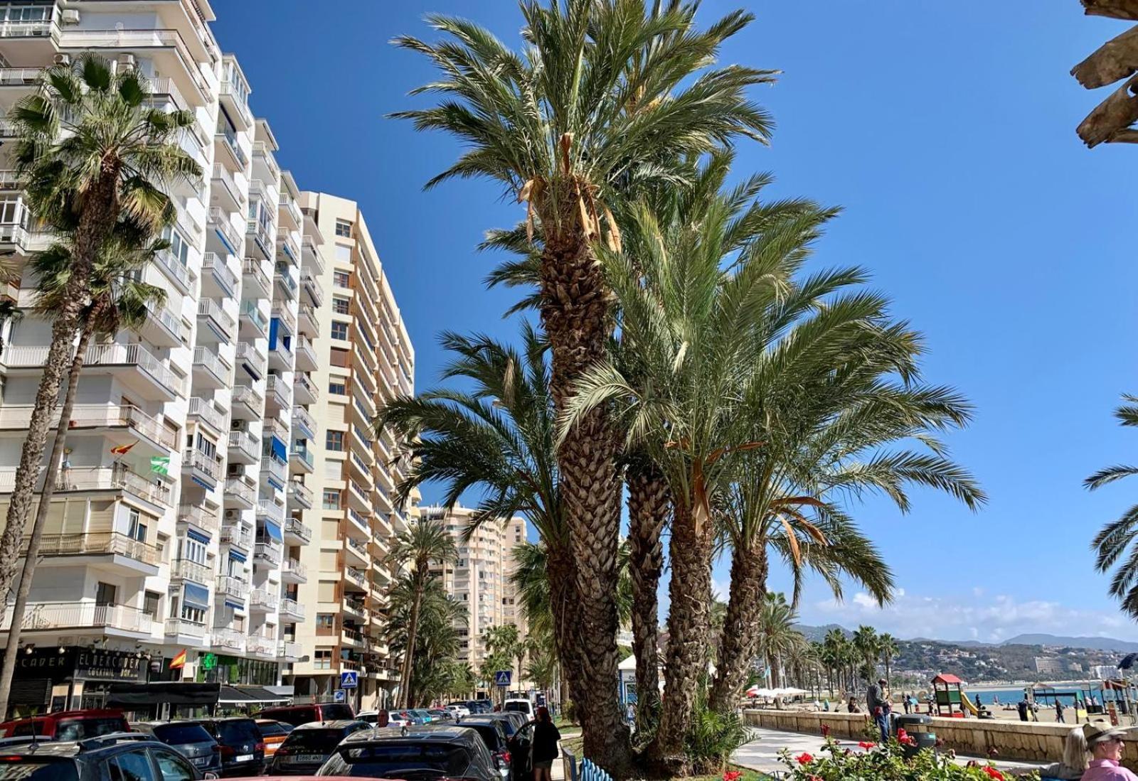 Estudio En Playa La Malagueta 말라가 외부 사진